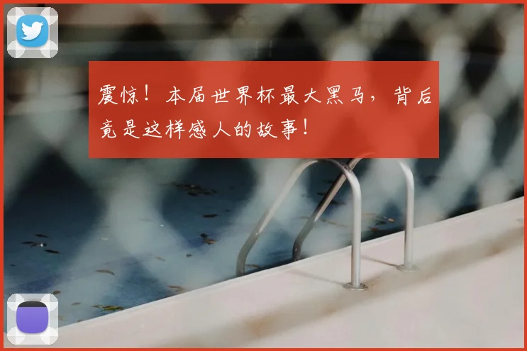 震惊!本届世界杯最大黑马,背后竟是这样感人的故事!