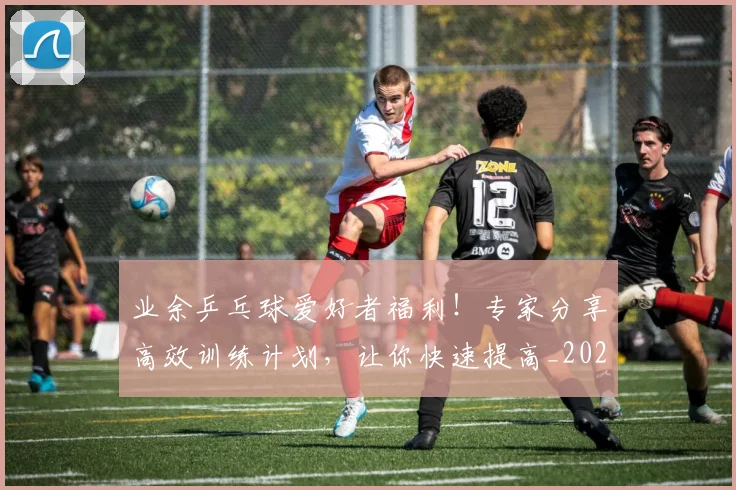 业余乒乓球爱好者福利！专家分享高效训练计划，让你快速提高_20260531151456_20260703204219