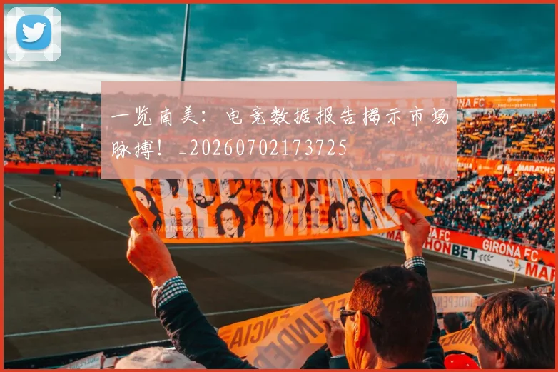 一览南美:电竞数据报告揭示市场脉搏!_20260702173725